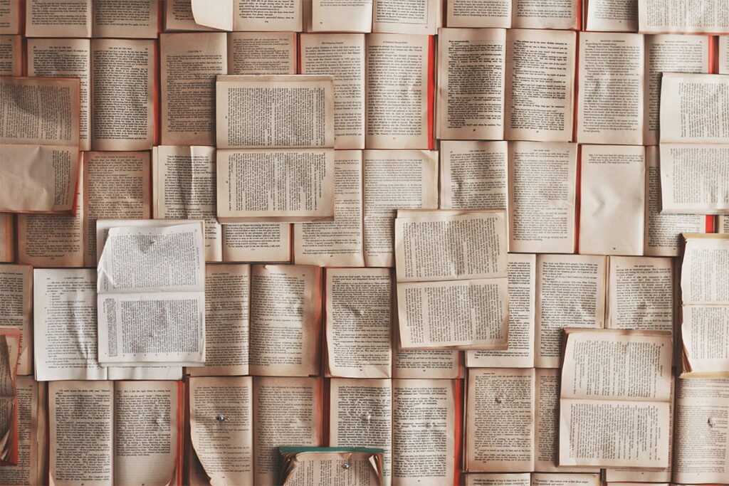 Lektorat Schaupp, Lektorat und Korrektorat, René Schaupp, Fuchsstadt – Bücher